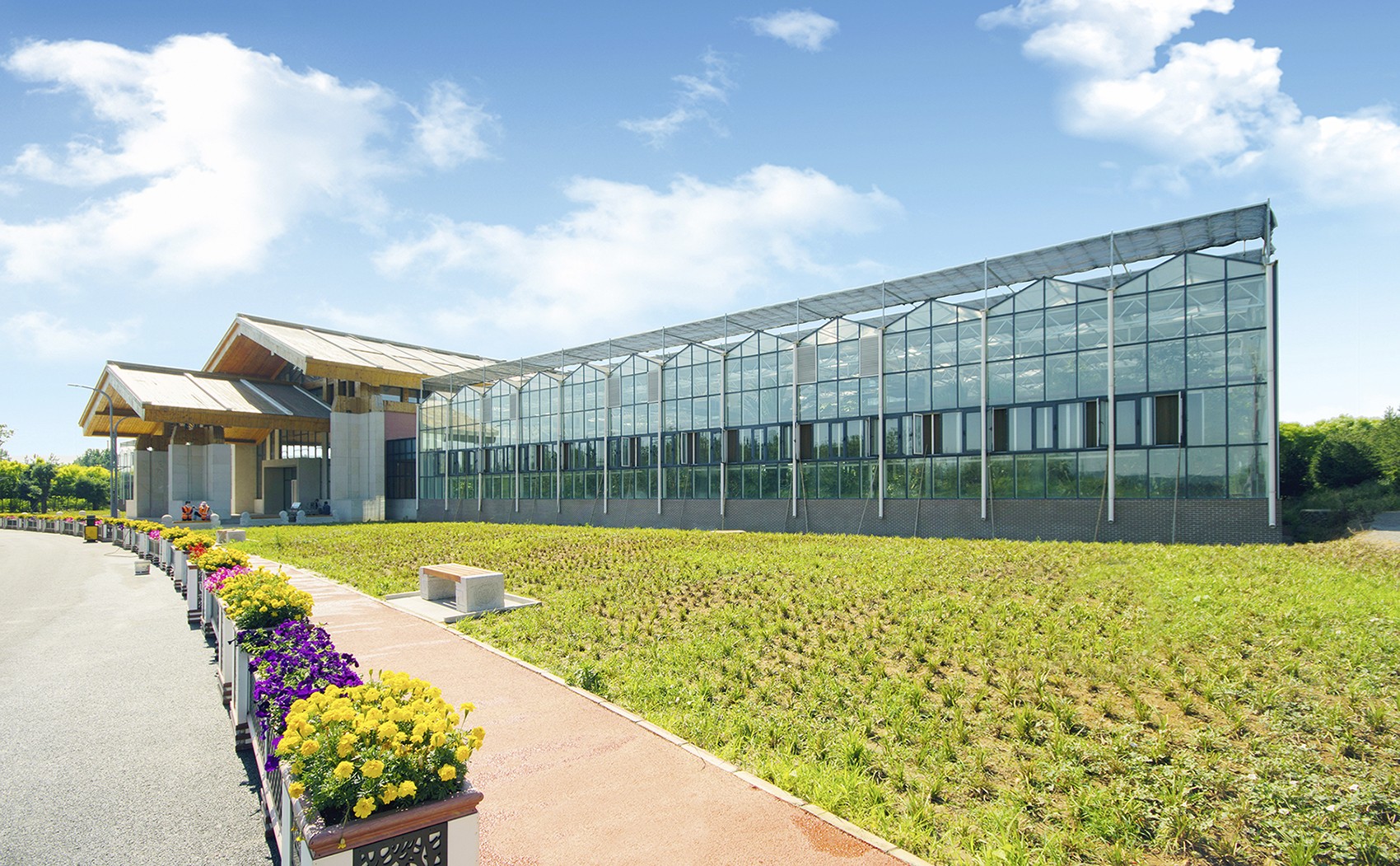 龍泉湖濕地花棚